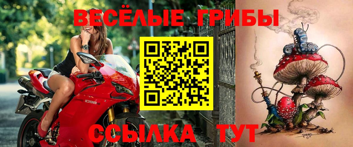 Алатырь  Галлюциногенные грибы GOLDEN TEACHER  Вход с VPN  Галлюциногенные грибы GOLDEN TEACHER 